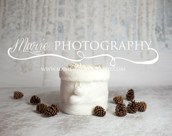 INSTANT DOWNLOAD-Christmas backdrop! Christmas fur bucket, snow backdrop! newborn christmas digital backdrop