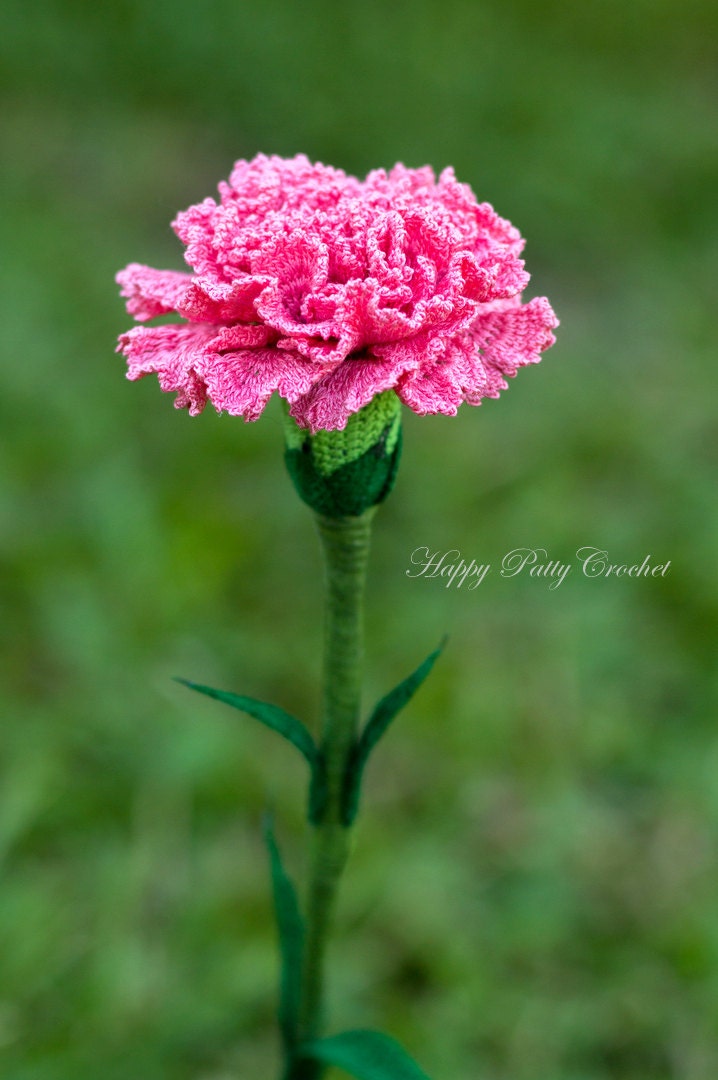 Crochet Flower Pattern Croche Carnation Pattern Carnation carnation diagram 