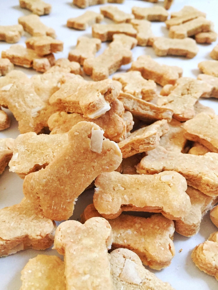 Coconut Dog Treats Grain Free Organic Dog by PawbabyBiscuits