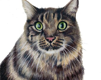 Sphynx cat drawing | Etsy