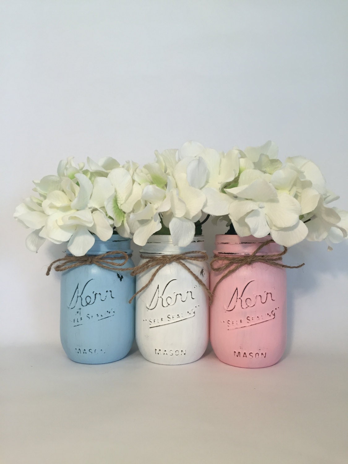 Gender Reveal Mason Jars Boy or Girl Mason Jars Blue and