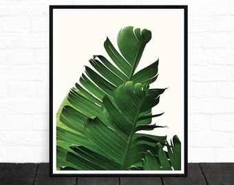 Tropical Print, Palm Leaf Print, Banana Leaf Print, Green, Leaves, Botanical Print, Plant Print, Palm Print, Scandinavian Poster, Nature Art
