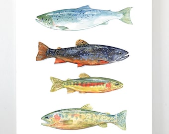 Colorful Fish Watercolor Art Print, fly fishing trout painting