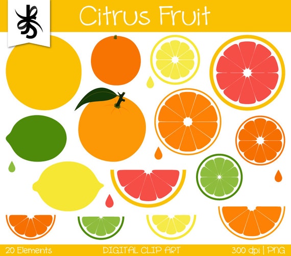 clipart citrus fruits - photo #29