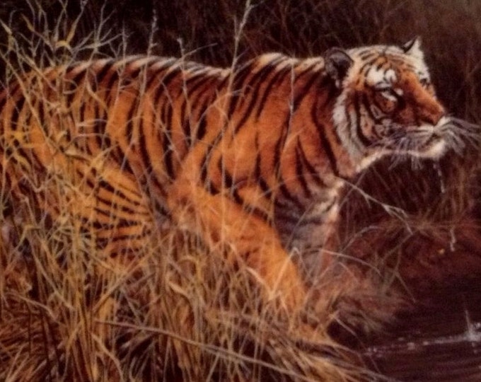 Jungle Lover Plate, Bengal Tiger, Encounters Endangered Species Plate, John Seerey Lester, "Something Stirred", Wild Animal Gift