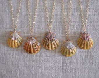 Unique sunrise shell related items | Etsy