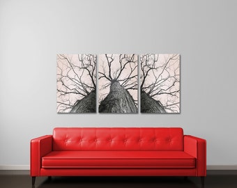 Fine Art Photography, Large Wall Art, Canvas Art Set, Neutral Wall Art Set, Tree Canvas Art, Forest Photography, Large Art Set, Bare Tree