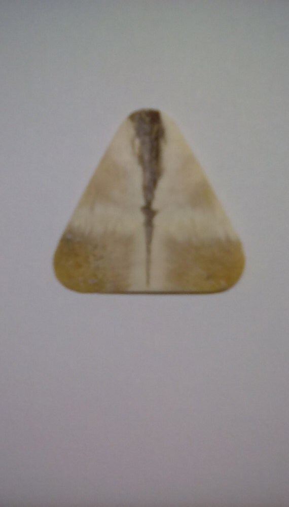 Turtle Shell Guitar Pick Tortoise Shell Guitar Pick