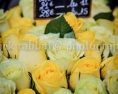Paris Roses Photo Instant Digital Download Fine Art Photography Romantic Bedroom Bathroom Decor Yellow Roses Printable Photo Mother's Day Paris Roses Photo Instant Digital Download Fine Art Photography Romantic Bedroom Bathroom Decor Yellow Roses Printable Photo Mother's Day
