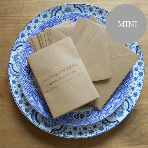 100 Mini Seed Envelopes Gift Card Envelopes Bulk Kraft