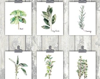 Herb Print Set of 6 - 8x10 Watercolor Prints, Herb Watercolors, Kitchen Decor, Botanical Print, Print Set, Herb Prints, Herb Painting, Herbs