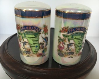 Beautiful State of Florida Souvenir Salt and Pepper Shakers unmarked, Circa 1960s