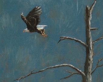 Items similar to Print 8x10 - Wildlife Fantasy Dream Birds ... Items similar to Print 8x10 - Wildlife Fantasy Dream Birds ...