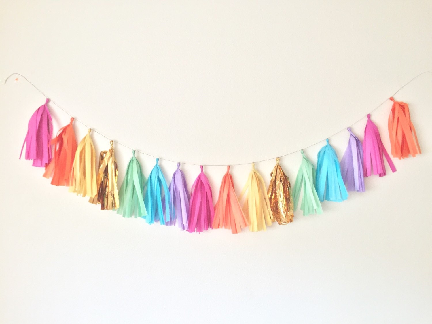 Rainbow Tassel Garland My Little Pony Party Rainbow Garland