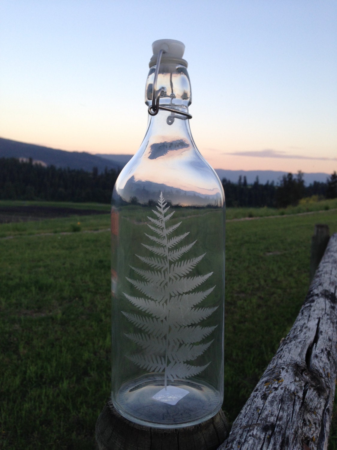 Fern Etched Glass Water Bottle