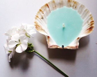 Trio de Saint-Jacques Cornish Shell bougies