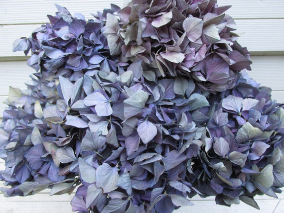 Dried Purple Dark Blue Hydrangea Flowers 9 Stems for