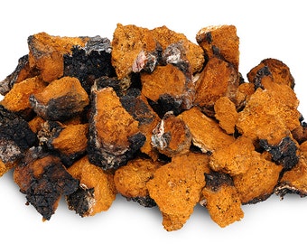 1 LB Chaga Small Chunks Chaga Mushroom Tea Wild Harvested Dried Ready to Brew (16 oz)