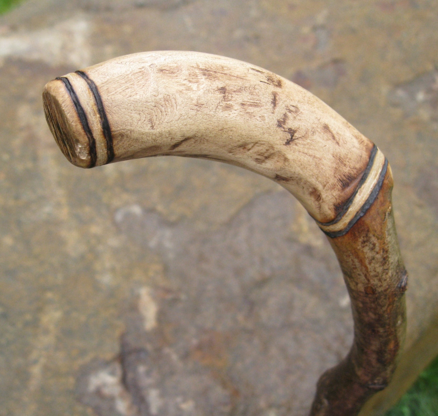 Hand carved Walking Cane Shaped by Nature Root Cane