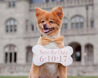 Save the Date Sign, Save the Date, Engagement, Engagement sign, Save the date dog sign, save the date bone sign, bone sign, wedding sign,