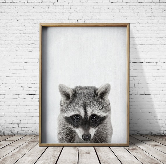 Racoon Print WoodlandsPrintable Art Print Download by CosmicPrint