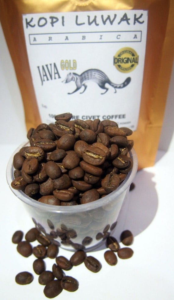 100 Authentic Java Kopi Luwak  Arabica Wild Civet by BaliHead