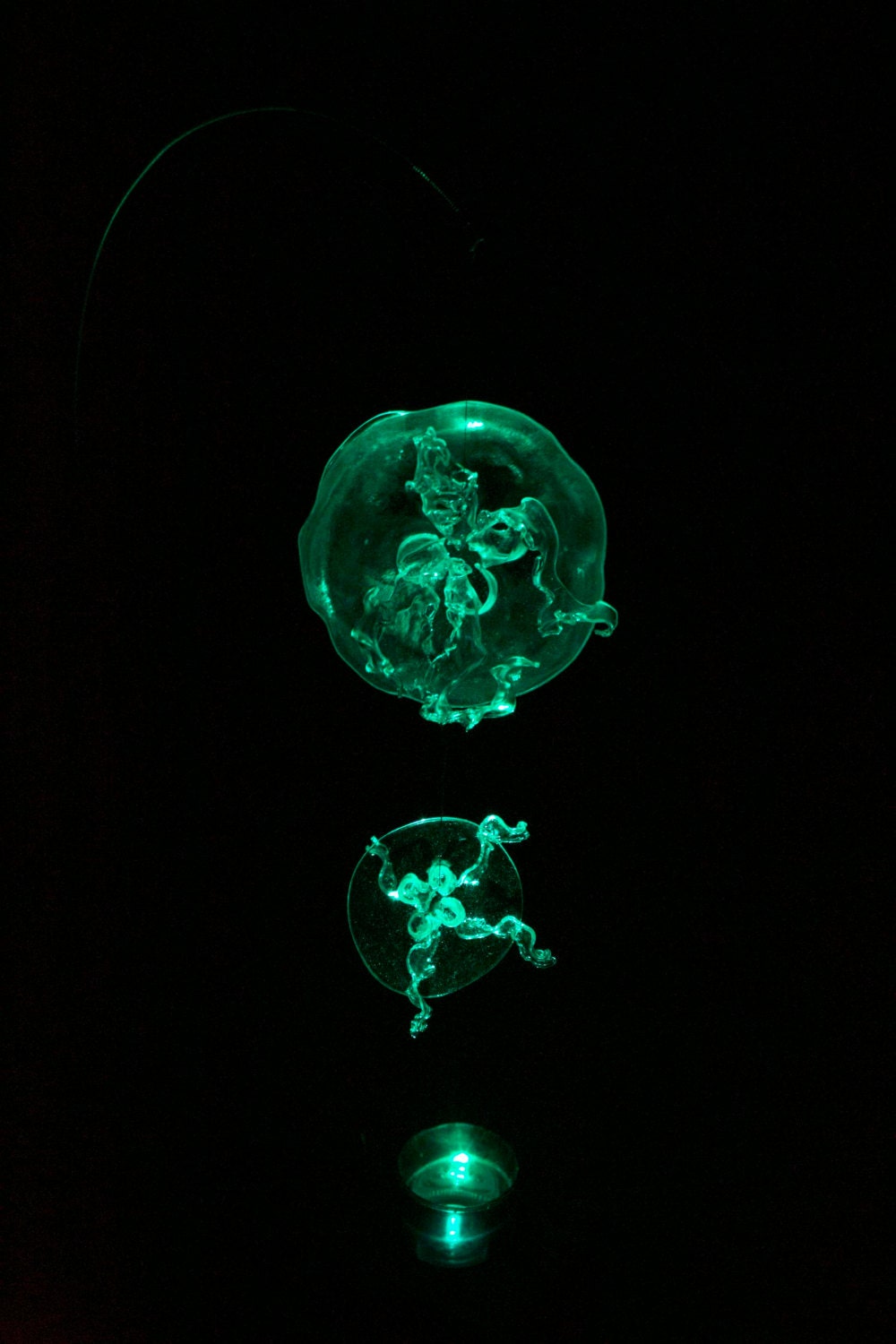 Iluminated Jellyfish Jellyfish Light jellyfish lamp LED