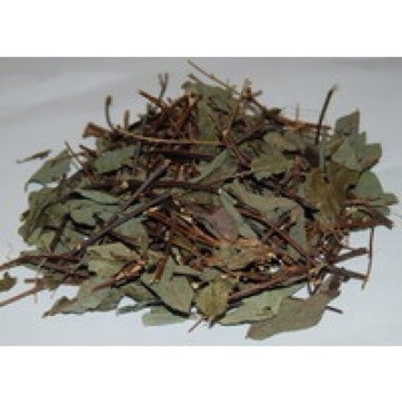 Jamaican Strong Back herb The herb of Orisha by IslandMedicine