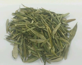 100% ORGANIC Olive Leaves herbal tea Saltadorio herbs