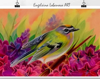 Pencils,Drawing,Realistic colored pencil drawing techniques,Fashionable bird in bright colors
