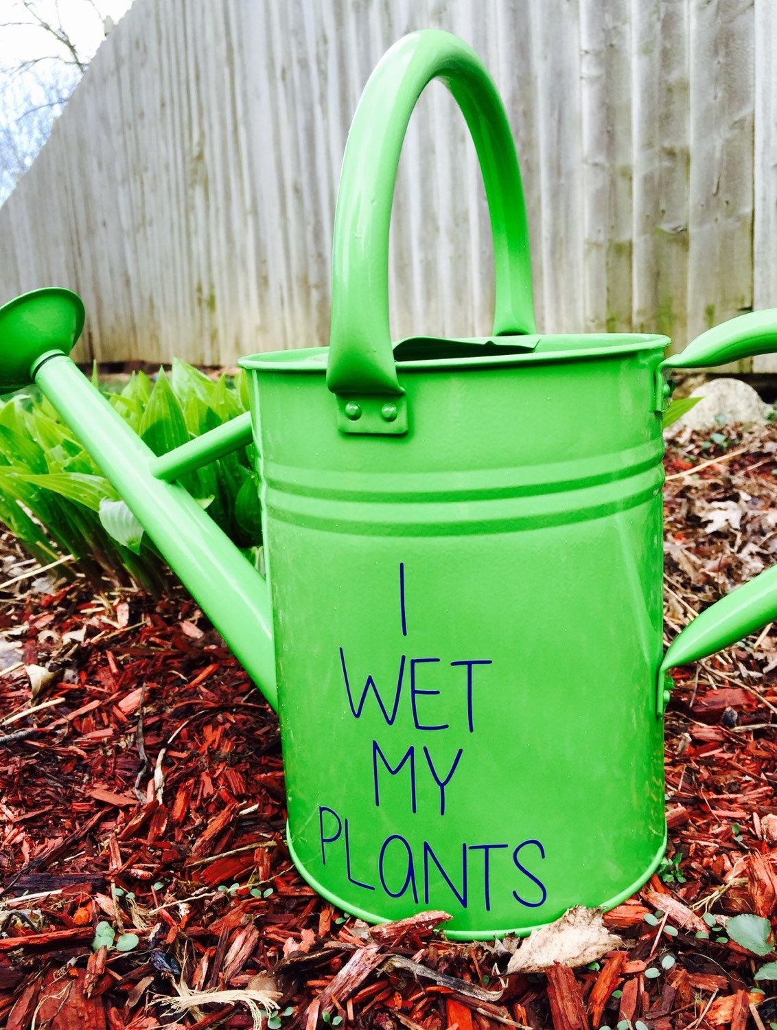 Garden watering can