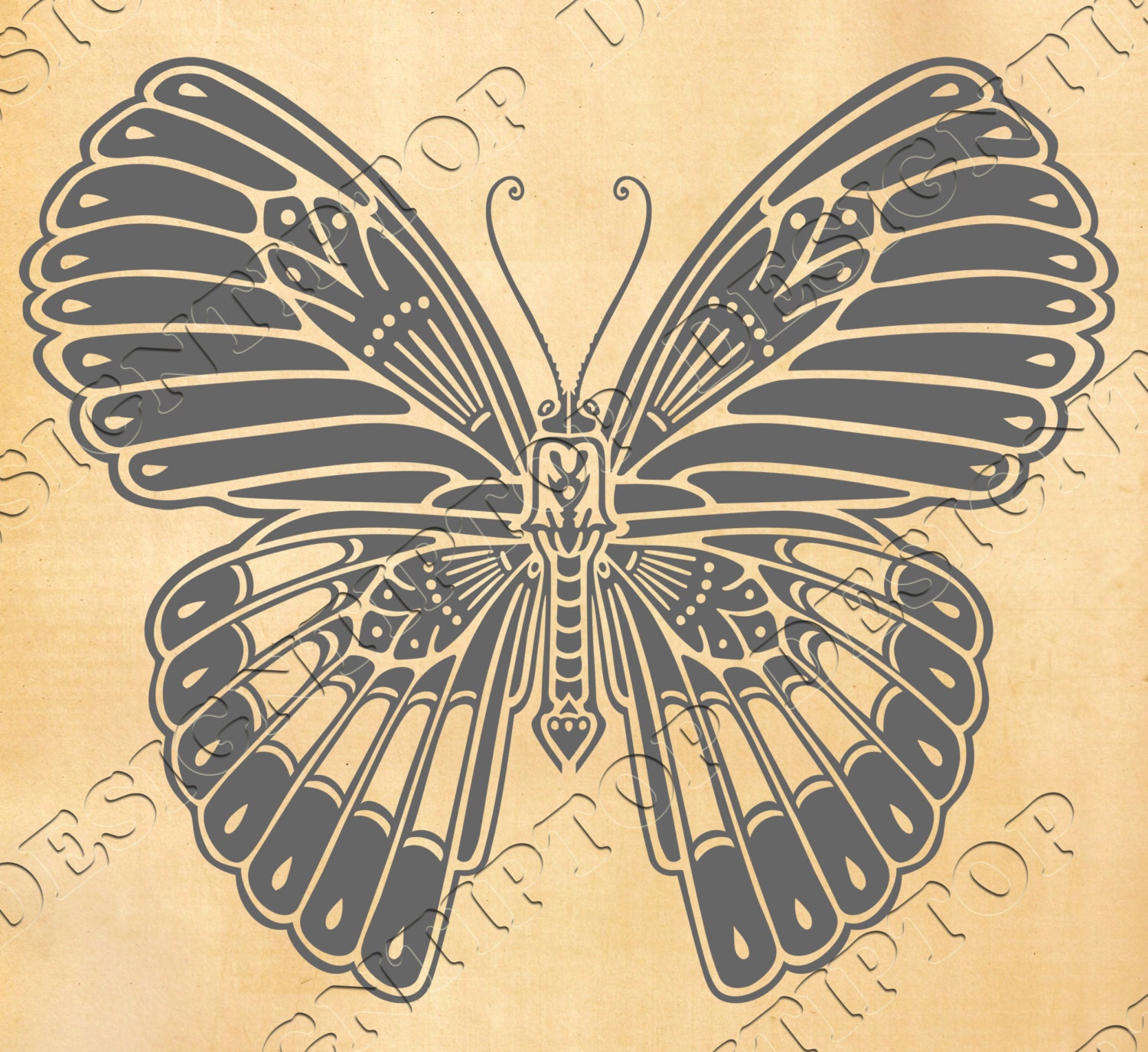 Free Free 117 Cricut Butterfly Outline Svg SVG PNG EPS DXF File