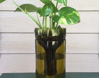 Wine bottle planter/Self watering plant/ upcycled wine bottle
