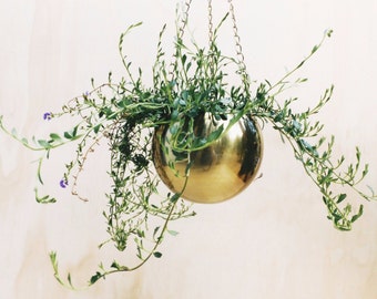 Gold Brass Hanging Planter - Air Plant Climbers Succulent Indoor Pot
