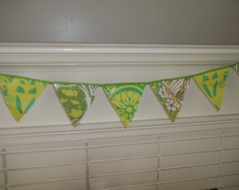 Party Banner ~ Pennant Flag Banner ~ Amy Butler Laminated Cotton Garland