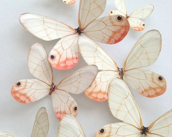 NEW blush butterflies - 3D decorative butterflies - 3D wall decoration - pastel peach butterfly - 3D butterflies wall art - Uniqdots on Etsy