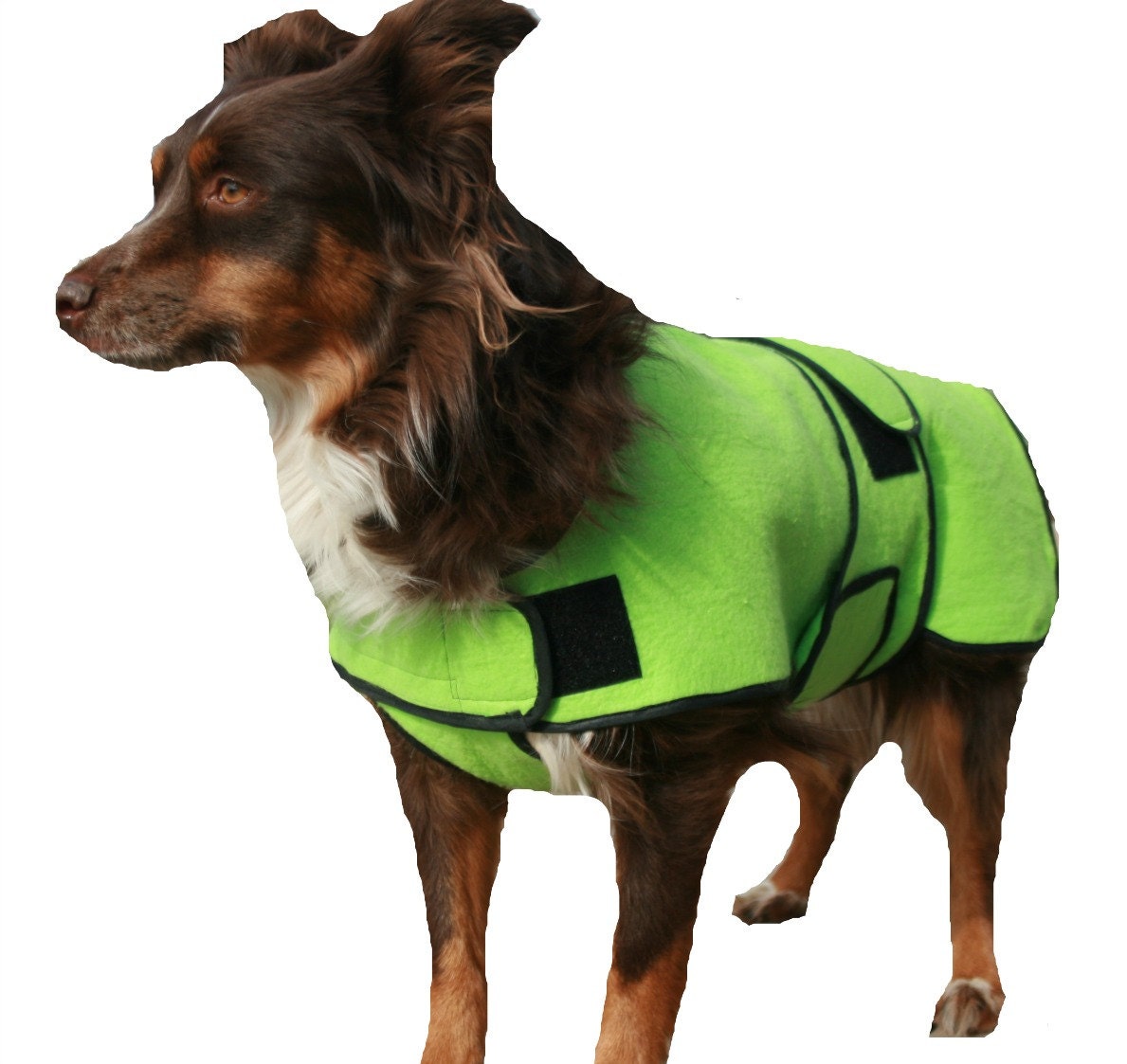 Dog Cool Coat with velcro front closure custom made by madebyde