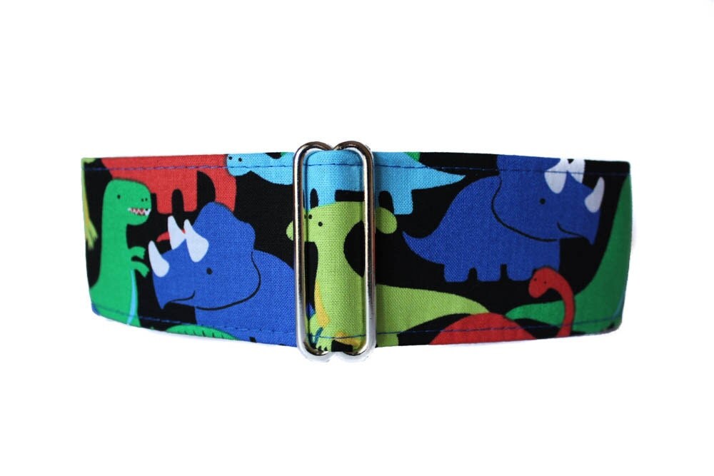 Martingale Dog Collar Dinosaur Martingale Collar 2 Inch