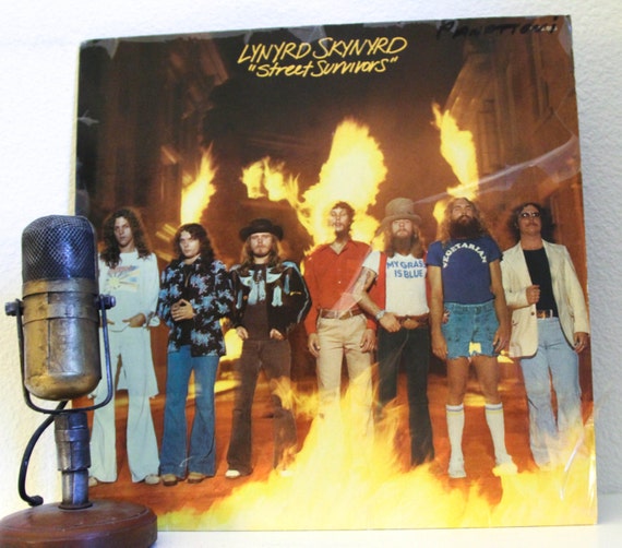 Lynyrd Skynyrd Vinyl Record Album 1970s Southern Rock LP