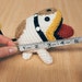 yoshi poochy plush