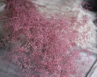 Pink Dried Baby breath, Pink Dried Gypsophila, Blush Dried Flowers