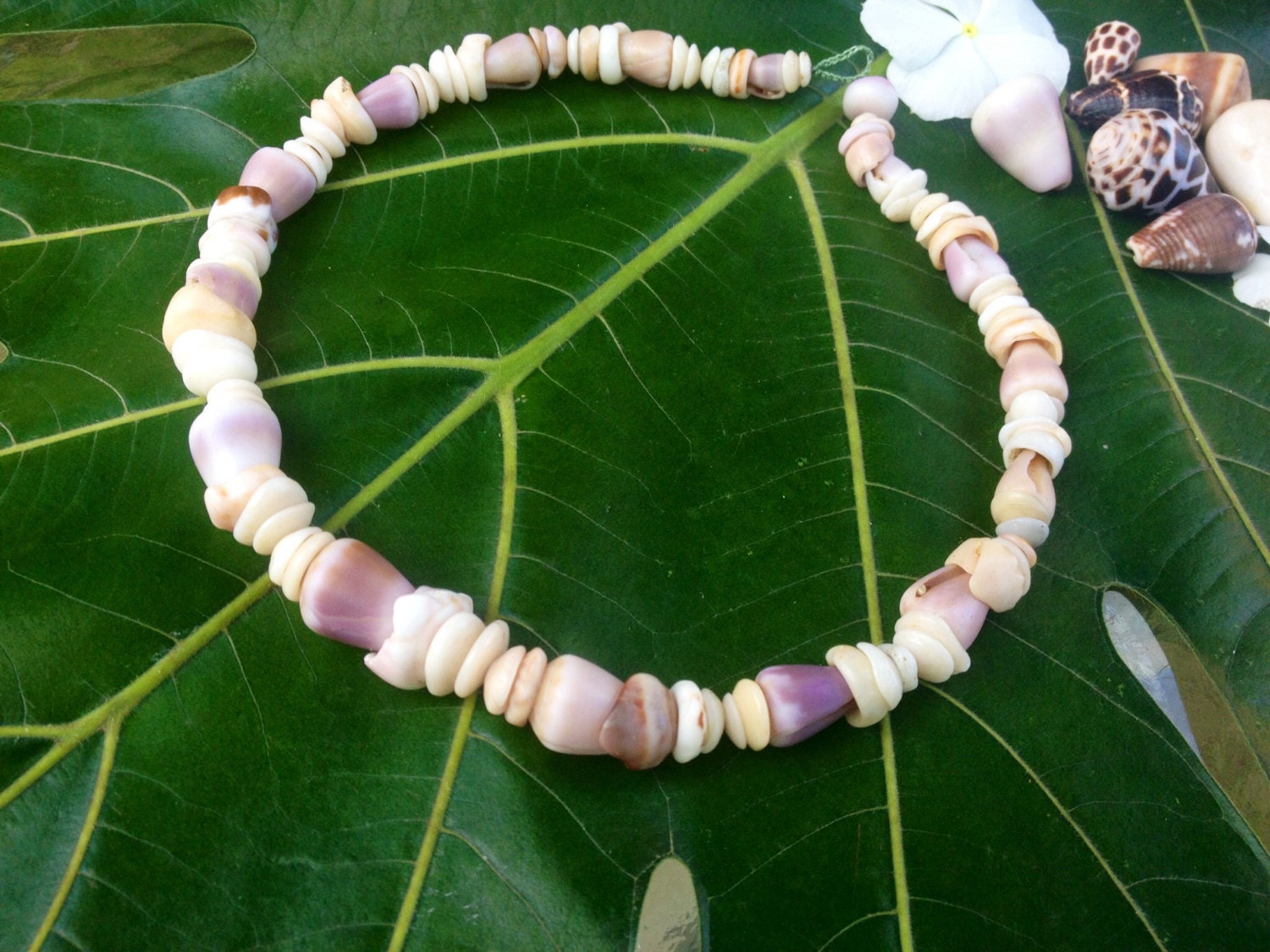 Hawaiian Puka Shell Lei Rare Cone Puka Shells Endemic Kauai