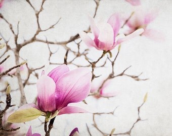 Magnolia Wall Art magnolia | etsy Magnolia Wall Art magnolia | etsy