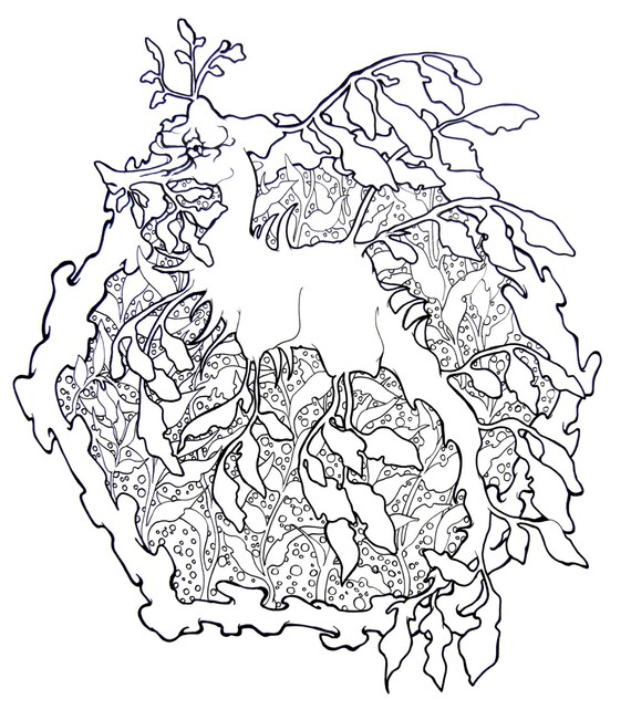 Leafy Sea Dragon Coloring Pages Coloring Pages