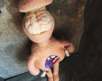 Anatomy Art Doll, Human Body, wool needle felted, science, doctor, nurse, human brain, anatomical heart, one of a kind, by wooly topic