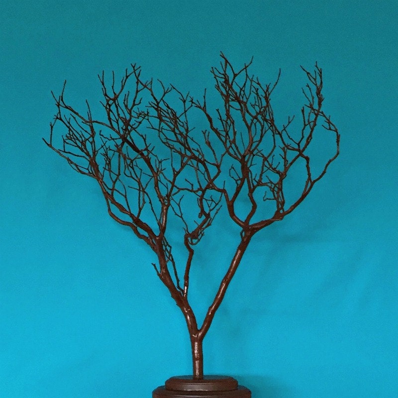 Manzanita Branches Decorative branches Decorative Tree
