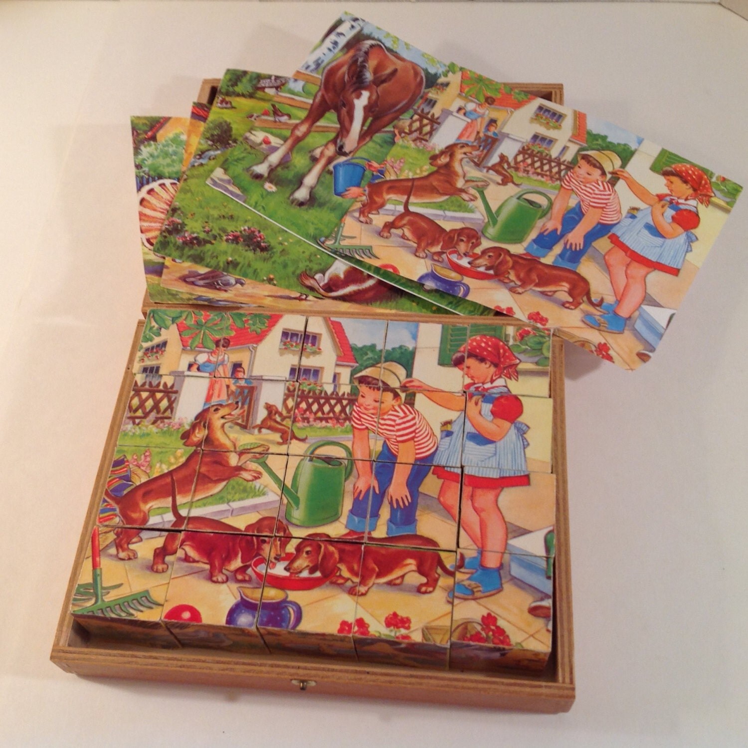 20 German Wooden Picture Puzzle Blocks in Wooden Case Eichhorn