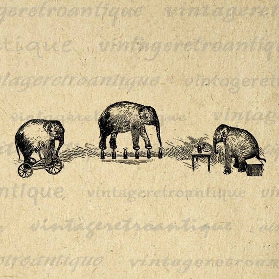 Circus Elephants Printable Graphic Digital by VintageRetroAntique