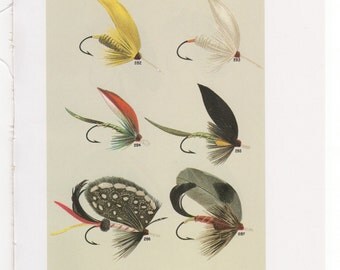 Fly Fishing Flies Print Bass and Trout Flies Print Bookplate By Mary Orvis Marbury Fishing Wall Art Home Decor Cabin Plates EE and FF