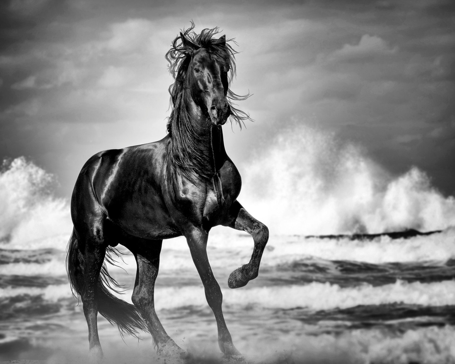 Black And White Photography Wall Art wild horse print black stallion horse art print horse Black And White Photography Wall Art wild horse print black stallion horse art print horse